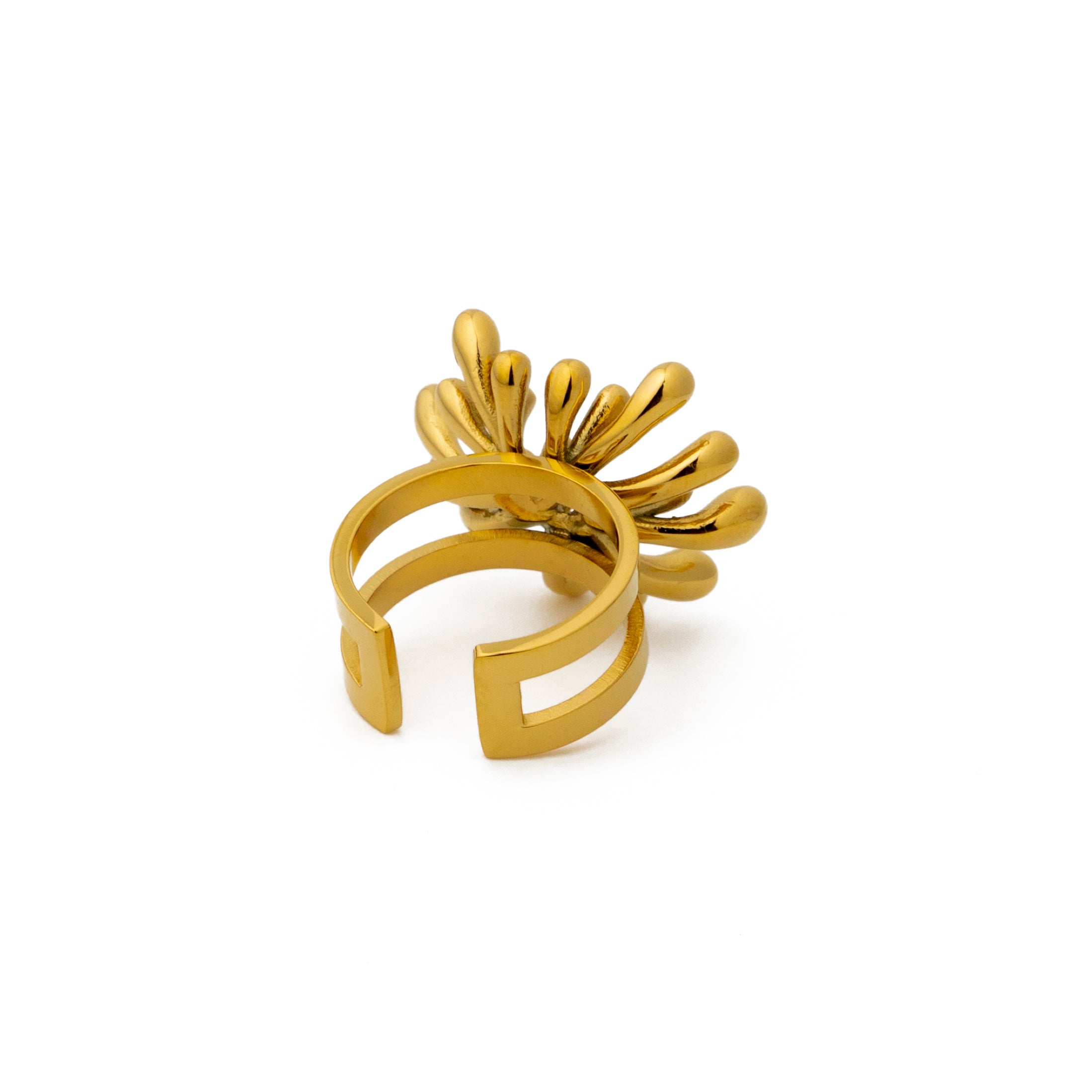 Sea Ring