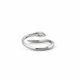 Silber